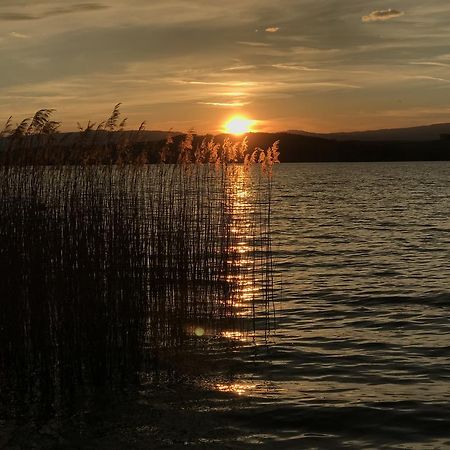 Chez Pio Lägenhet Murten Exteriör bild