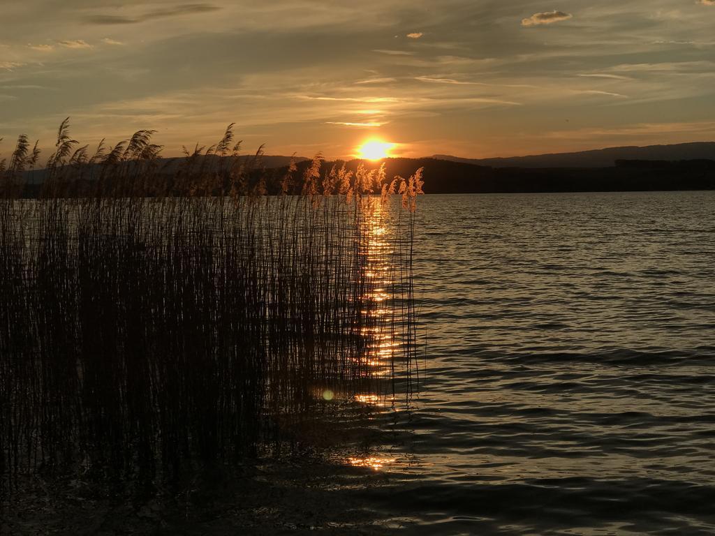 Chez Pio Lägenhet Murten Exteriör bild